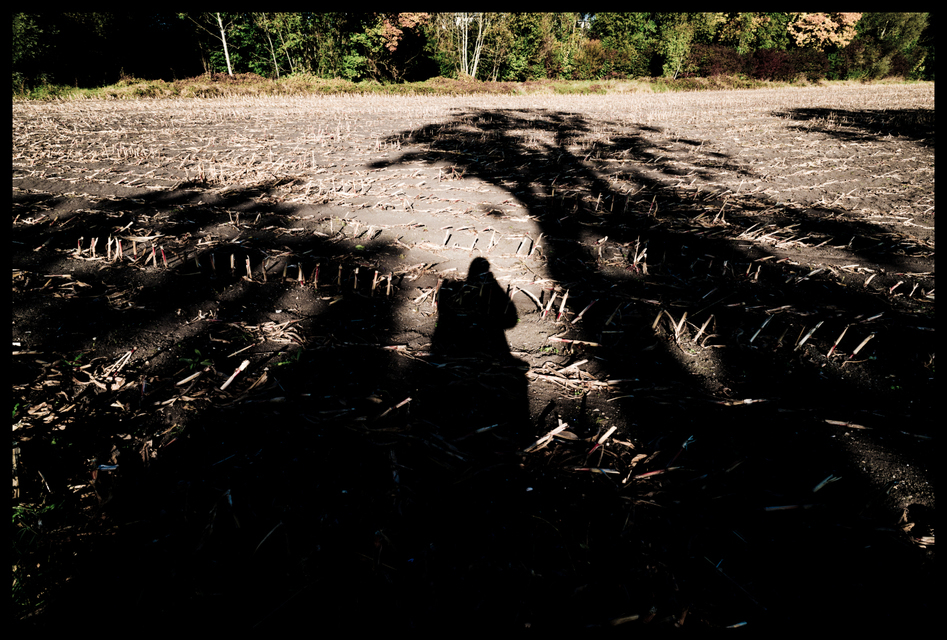 Shadow on Field - ID 004842