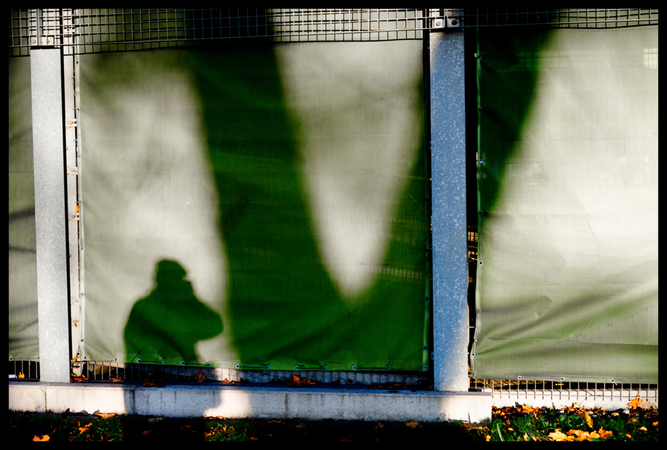 Green Shadows - ID 004869