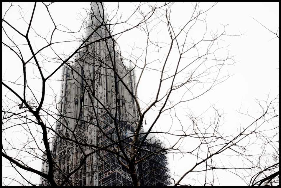 Winter Grey I - ID 004927