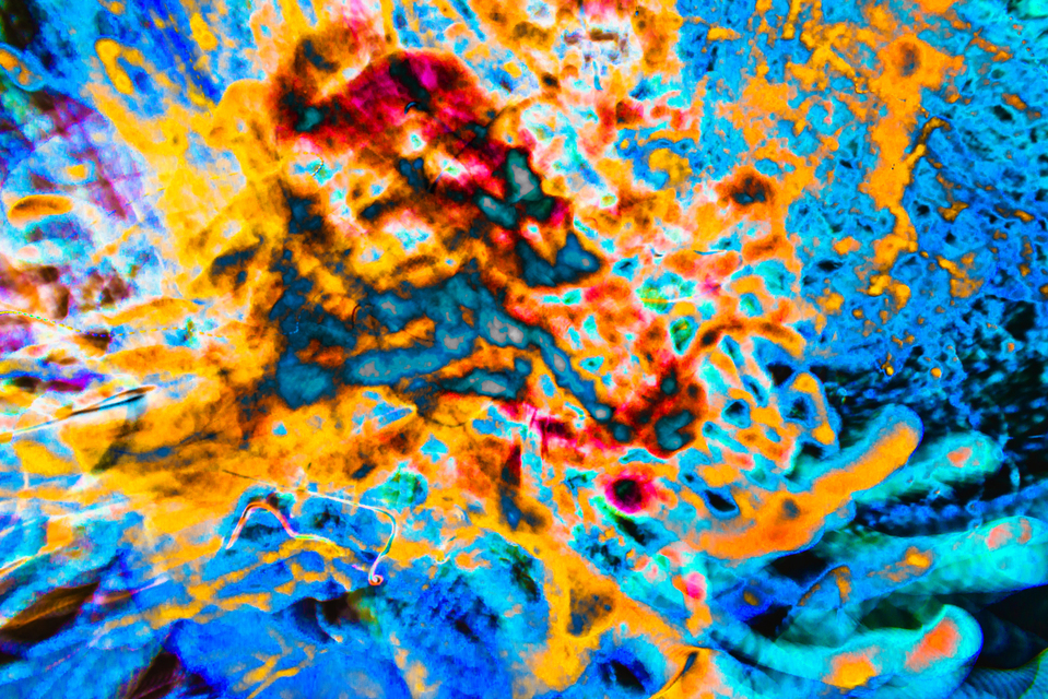 Galaxy Mash I - ID 004966