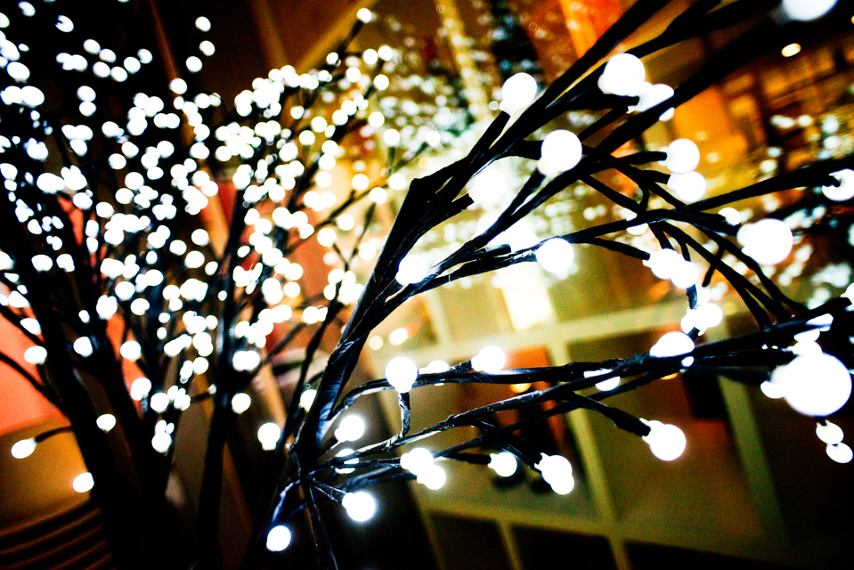 Modern Tree - ID 004975