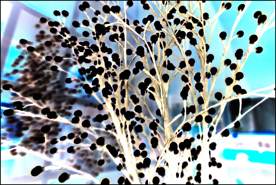 Dark Light - ID 004976