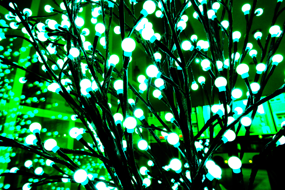 Red Light - ID 004982