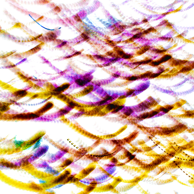 Lights in Bows - ID 004988