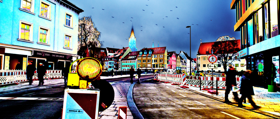 Birds over Danube - ID 004993