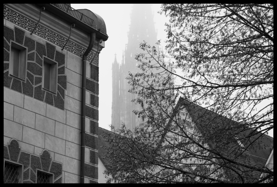 Behind in the Fog II - ID 004999