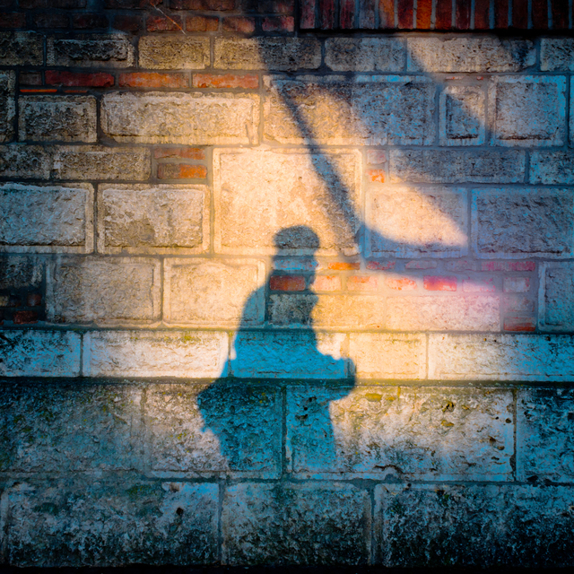 Photographer on the Wall - ID 005028