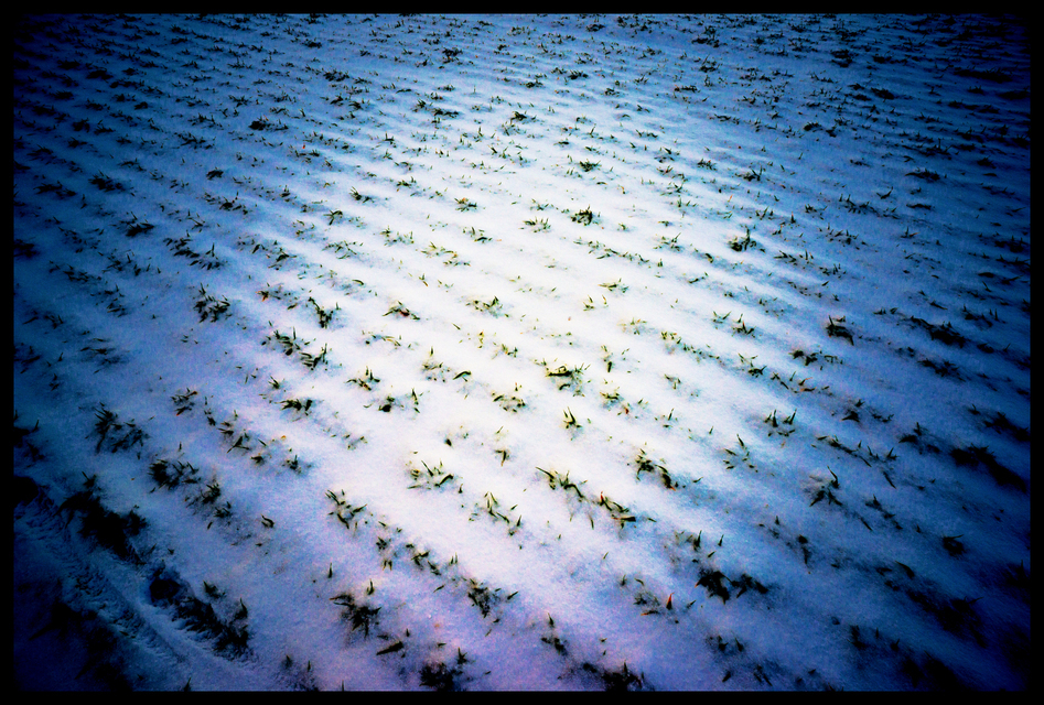 Snow Color I - ID 005030