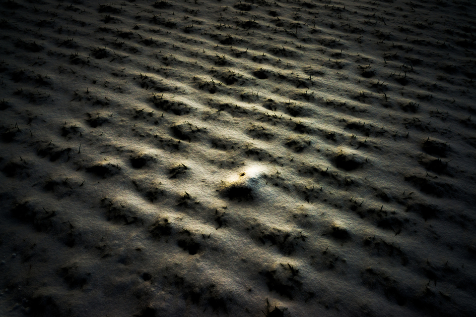 Snow Color III - ID 005032