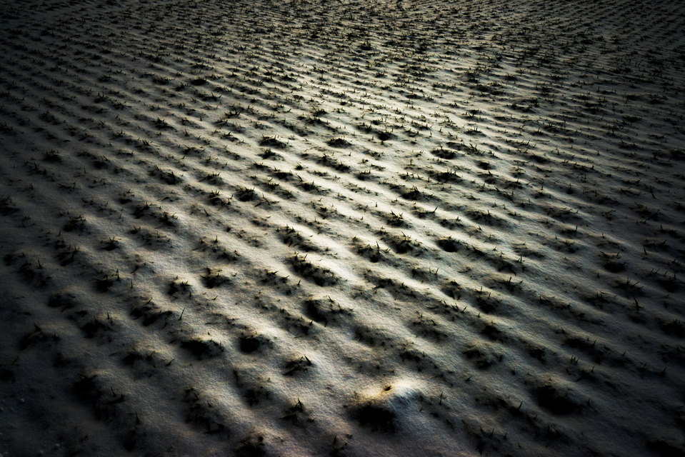 Snow Color IV - ID 005033