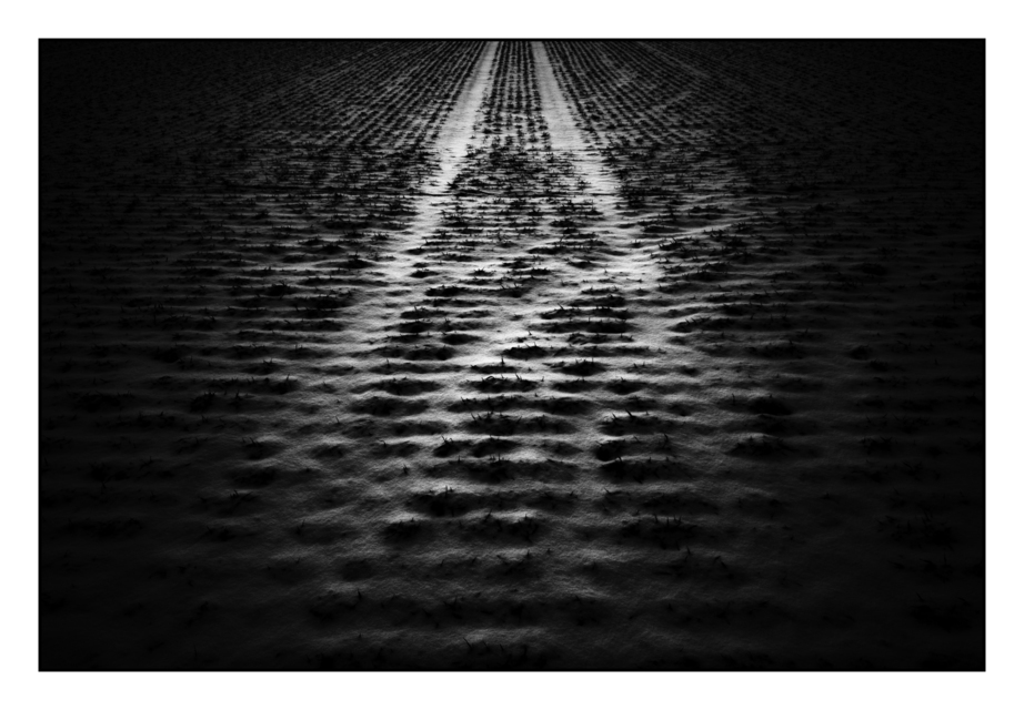 Black Snow - ID 005035