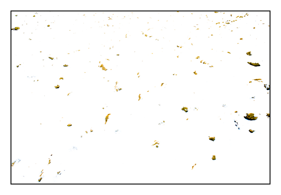 Last Soil I - ID 005048