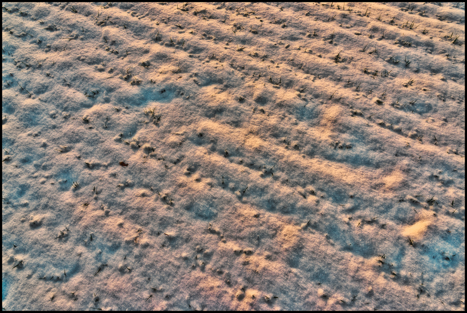 Snow Evening - ID 005052