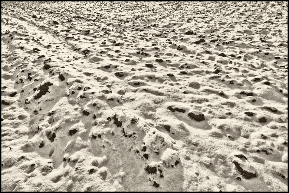 Snow on Field - ID 005054