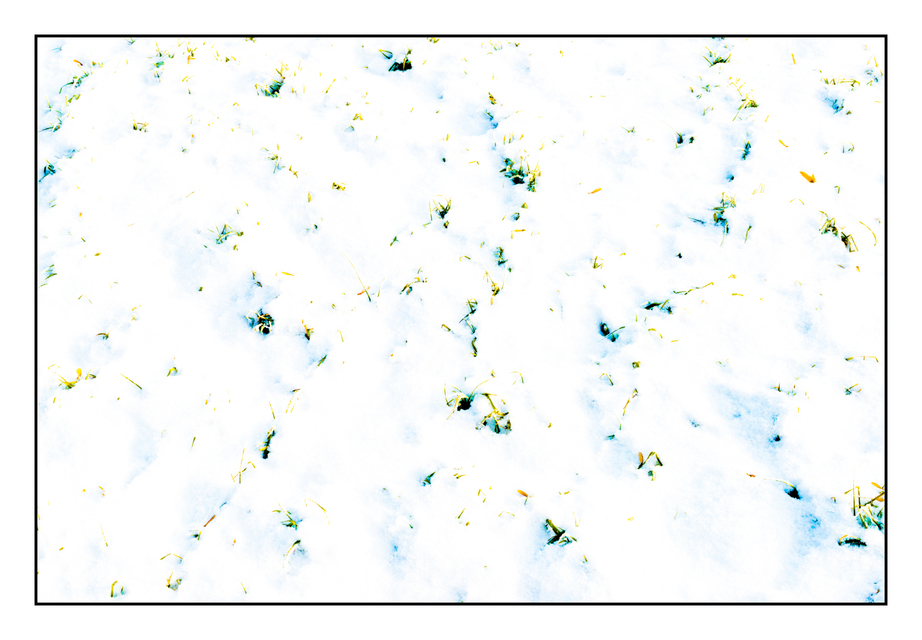 Winter Field - ID 005072