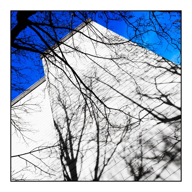 Shadow Maker and Shadows - ID 005086