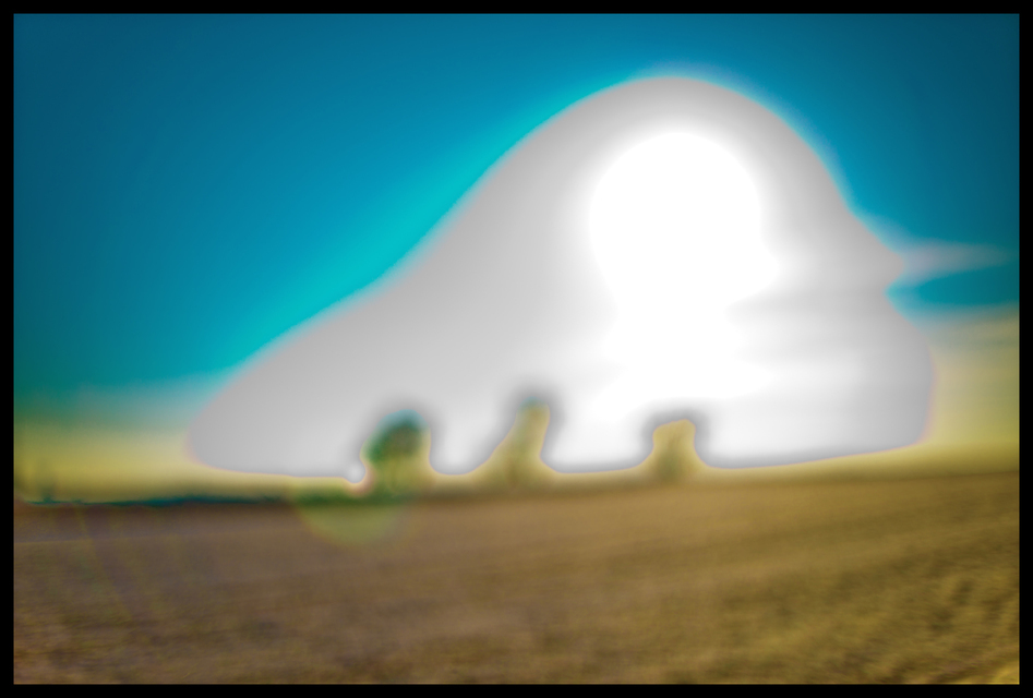 Winter Sun and Three Trees - ID 005114