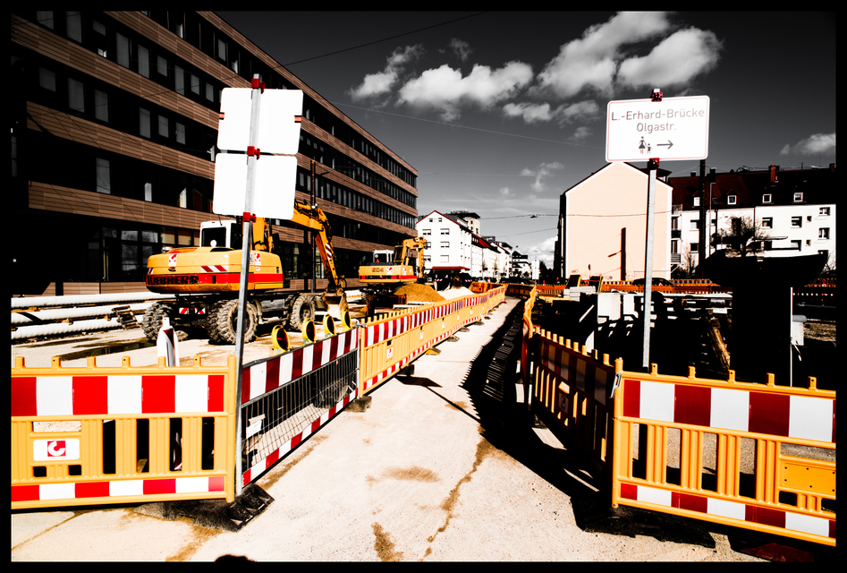 For the Cows - ID 005124