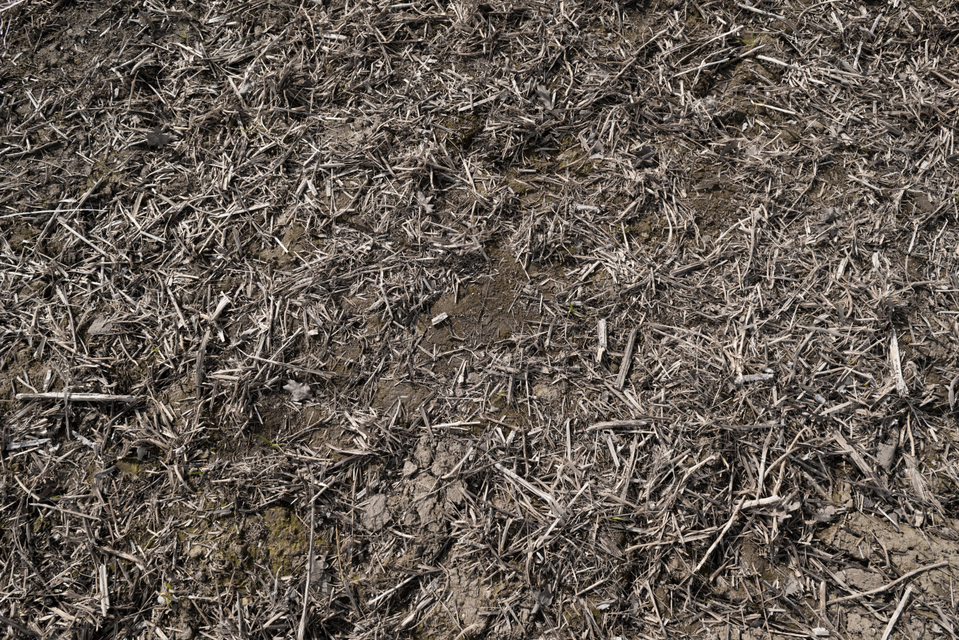 Empty Field I - ID 005132