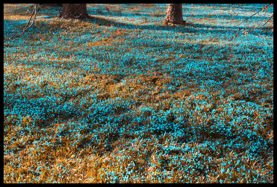 Painted it Cyan - ID 005141