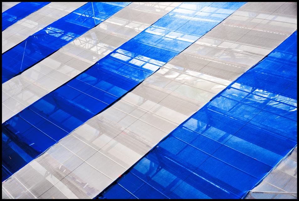 White Blue - ID 005160