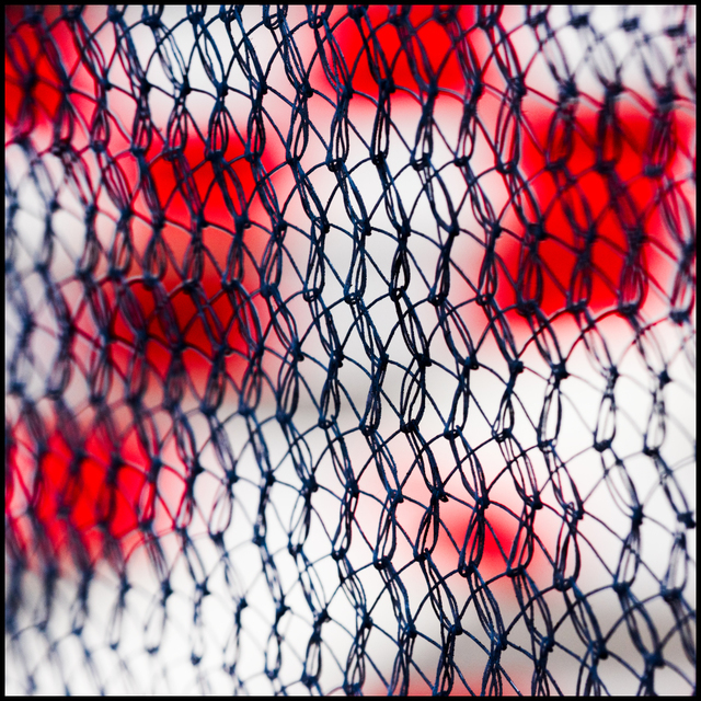 Red Dots II - ID 005164