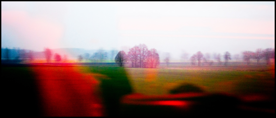 Morning Sun I - ID 005177