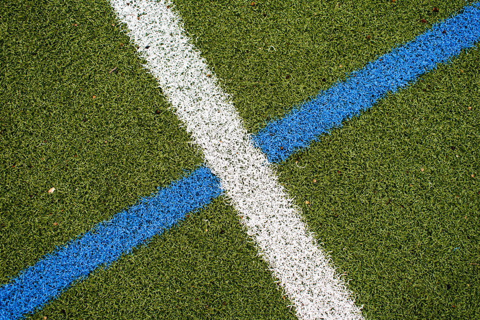 Playing Field I - ID 005186