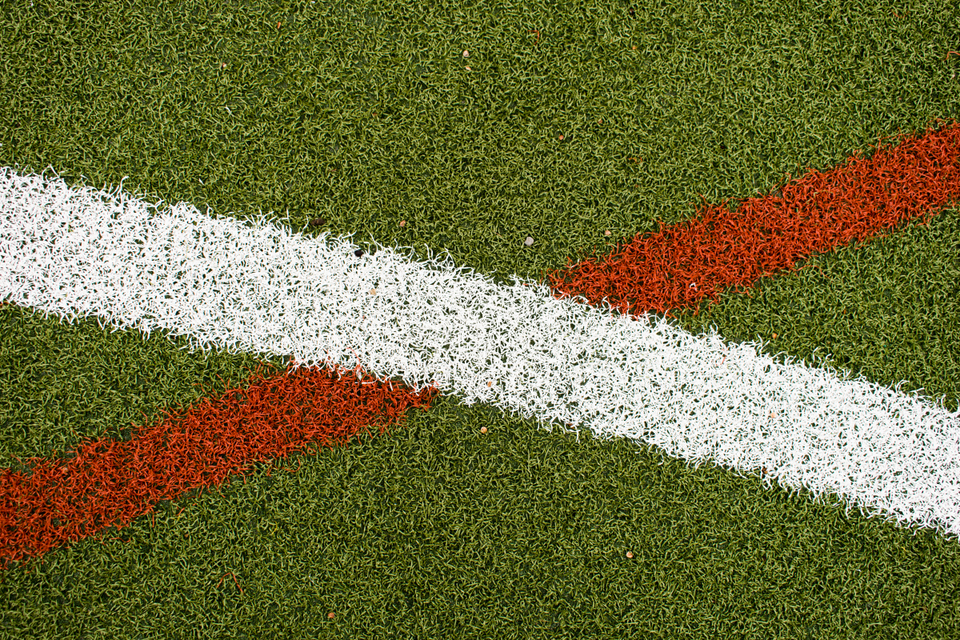 Playing Field X - ID 005195