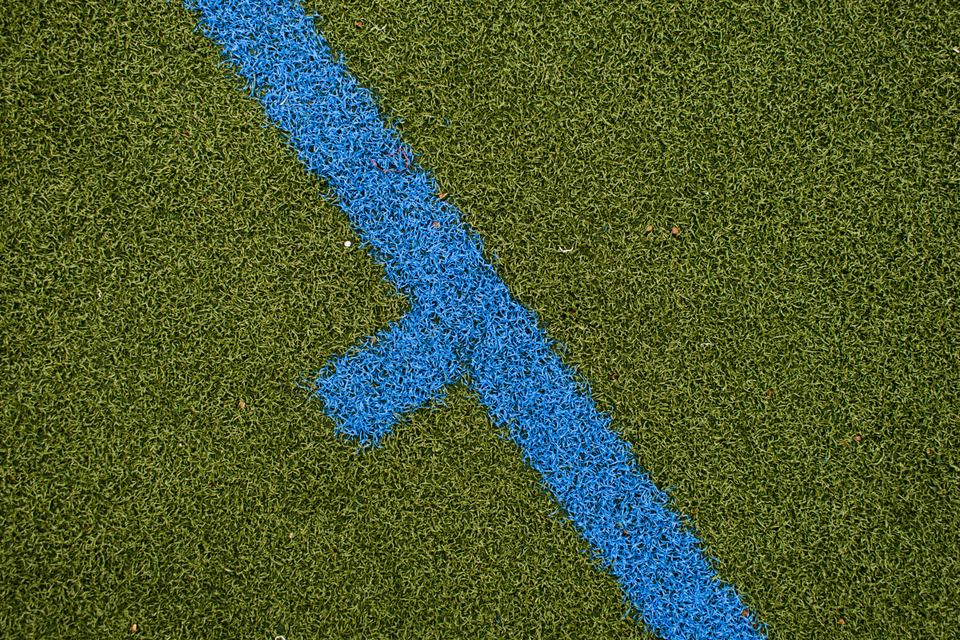 Playing Field XV - ID 005200