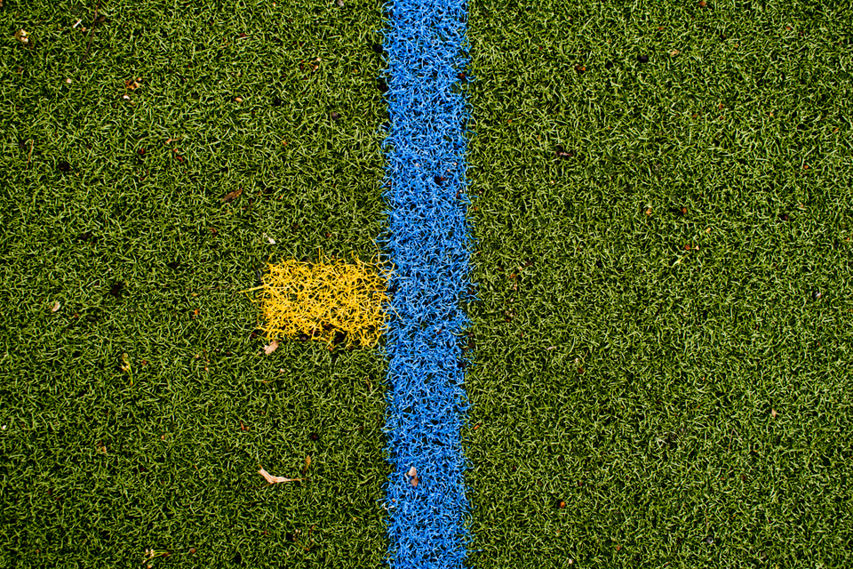 Playing Field XX - ID 005205