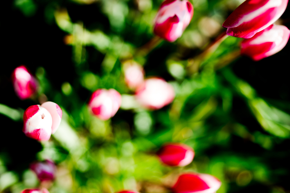 Launching - ID 005235