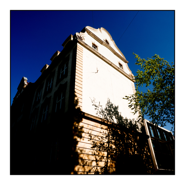 School Face - ID 005259