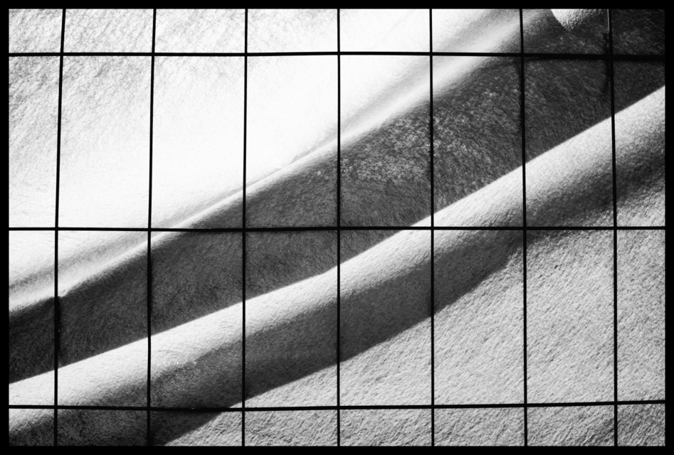 Shadow behind Fence - ID 005312