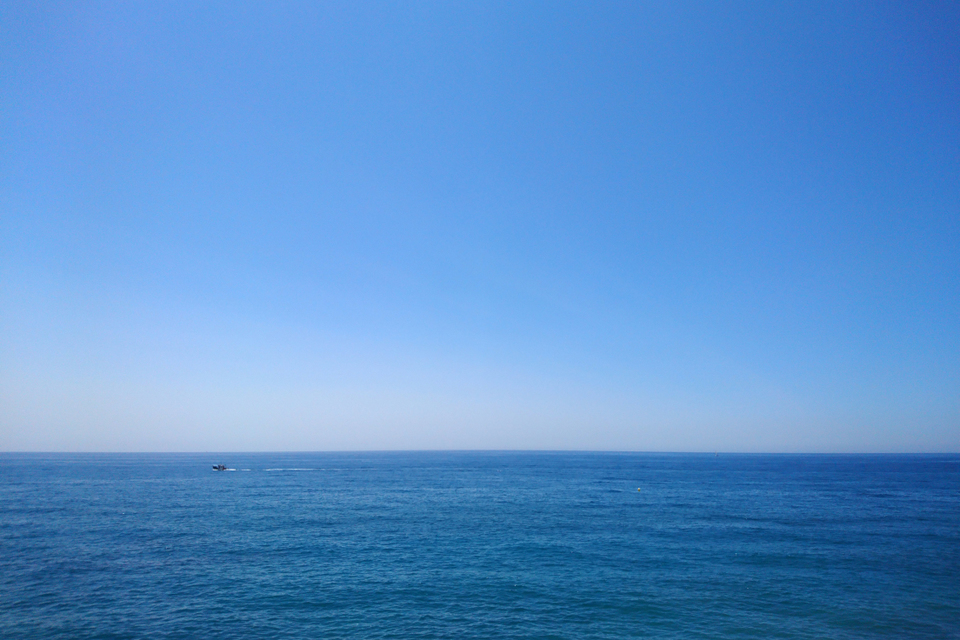 Sun Coast - ID 005407