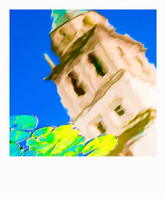 Water Lily Pond II - ID 005491