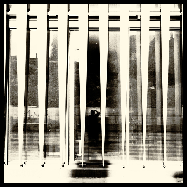 Between the Wings - ID 005543