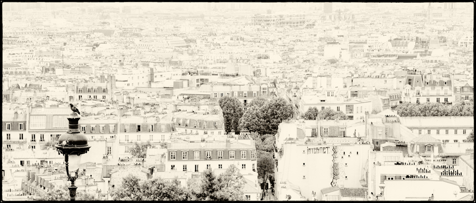 Dove of Sacre-Coeur - ID 005563