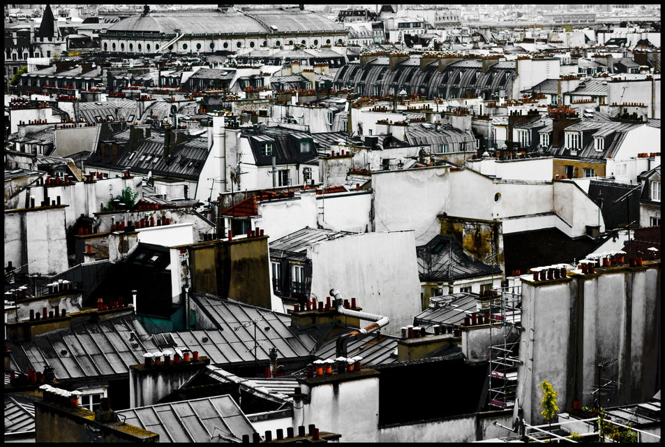 Paris Roofs II - ID 005659