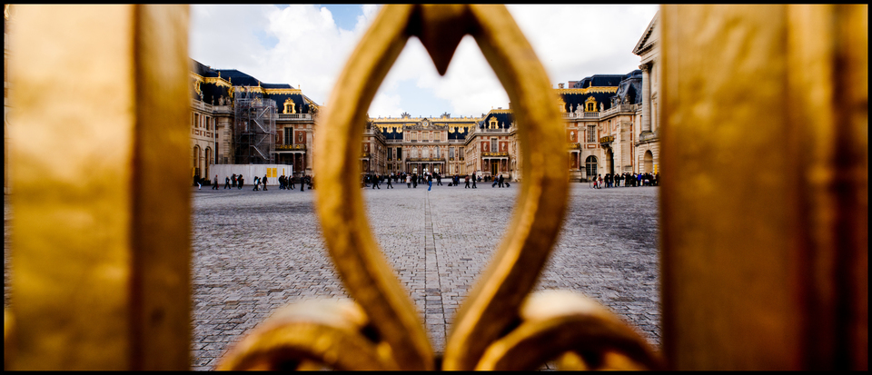 Golden Cage - ID 005779