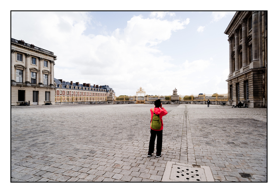 Picturing Golden Fence - ID 005781