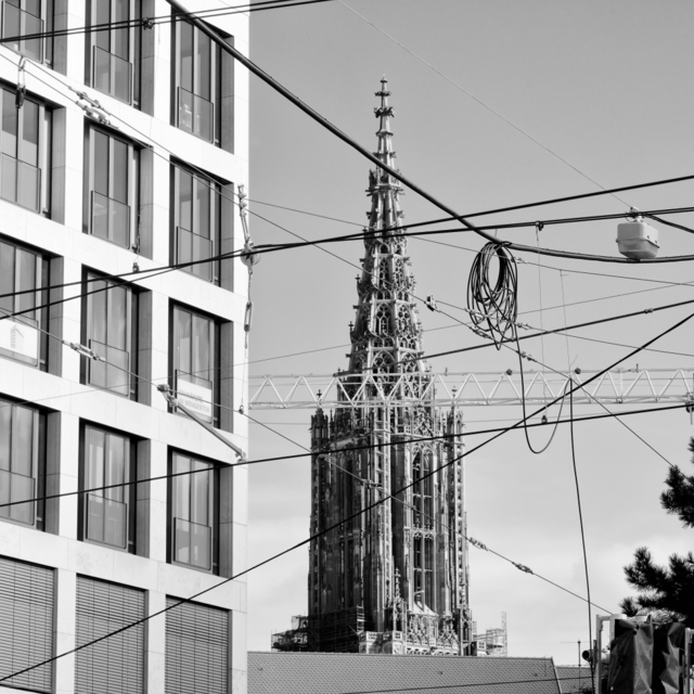 Behind the Lines - ID 005841