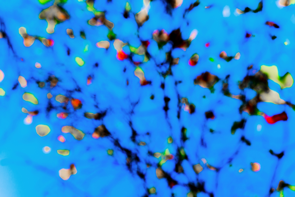 Eaten By The Blue - ID 005899