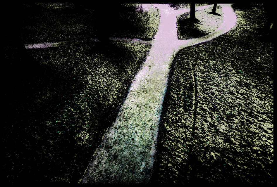 Dark Paths of Life - ID 005928