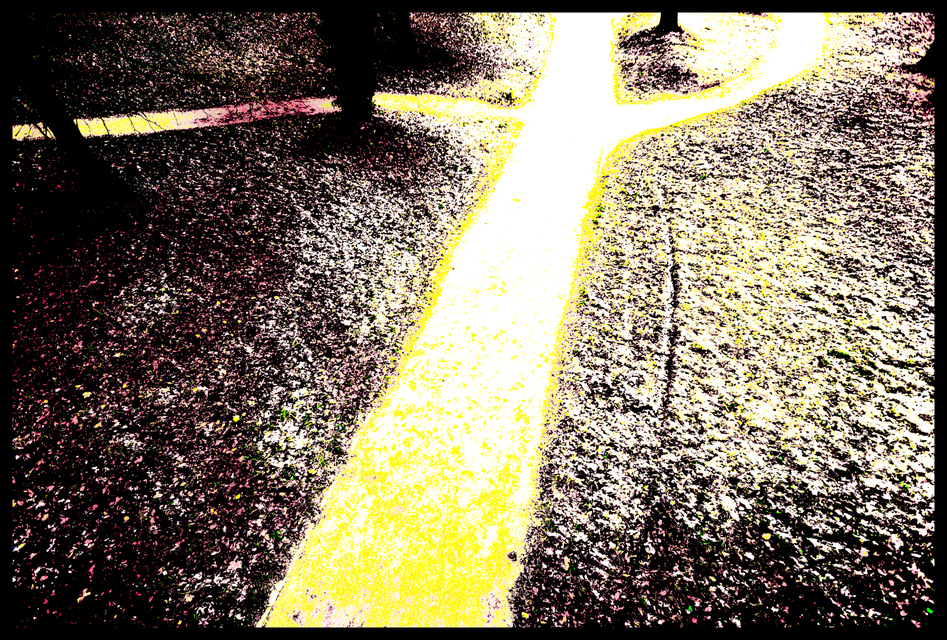 Bright Paths of Life - ID 005929