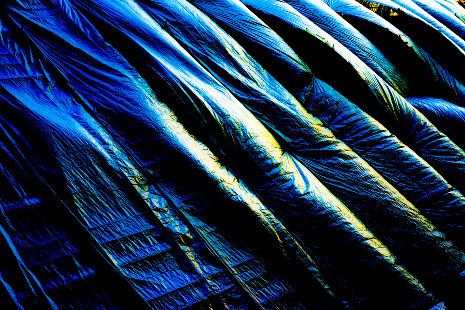 Bloated Sails - ID 005932