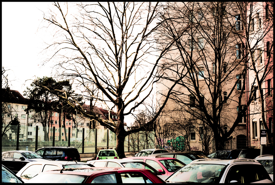 Car Roofs and Trees - ID 005942