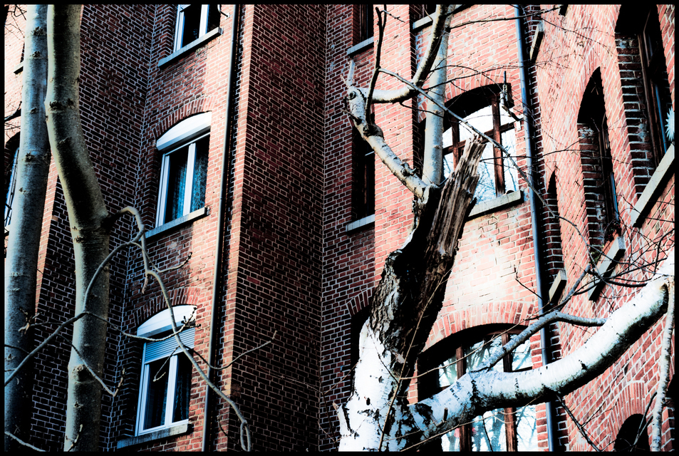 West Side Brick Wall House I - ID 005943