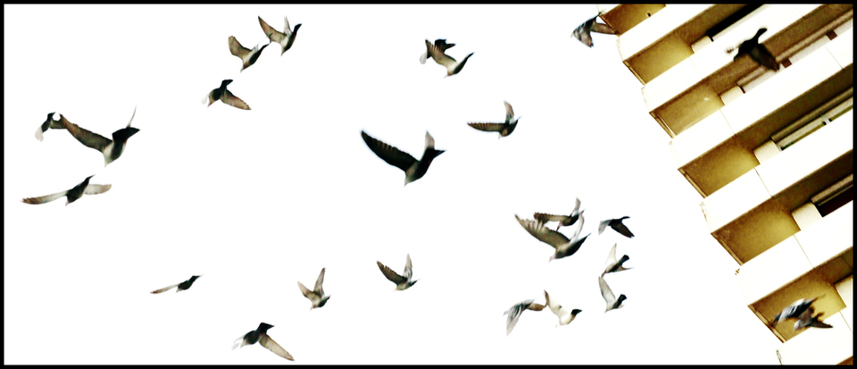 Formation - ID 005951