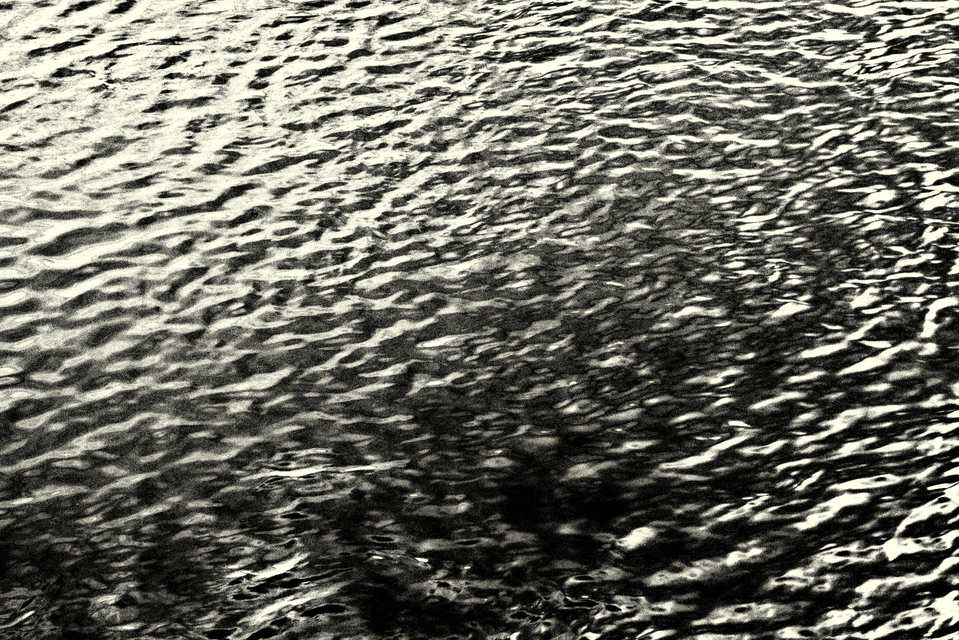 Water XXX - ID 006019